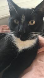 User Profile: iloveoreo47