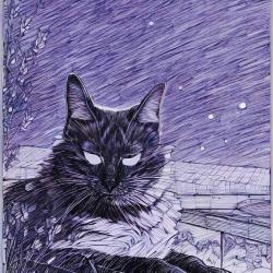 User Profile: LavenderCat06