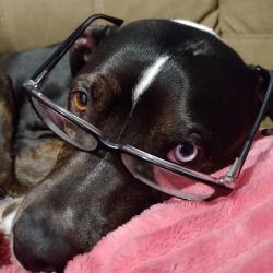 User Profile: Twix28