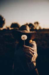 User Profile: tkbdandelions