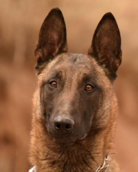 User Profile: bixy