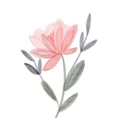 User Profile: adventurousGrapes9028