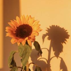 User Profile: selfconfidentBeing702
