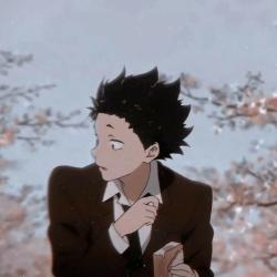 User Profile: Denji1702