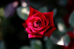 User Profile: PrettieCeleste
