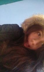 User Profile: Cocodrile15