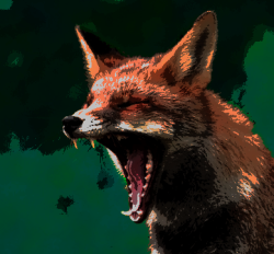 User Profile: AnarchyFox
