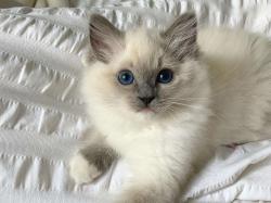 User Profile: Juliet13