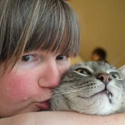 User Profile: Mojha424