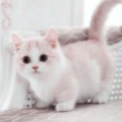 User Profile: Maziey