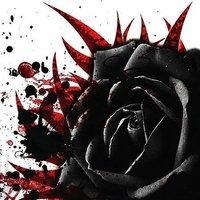 User Profile: gentleSpring2356