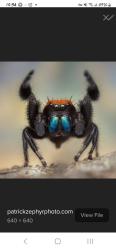 User Profile: AriesEmpath111