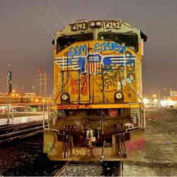 User Profile: run81990