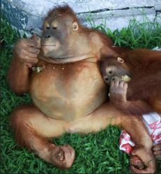 User Profile: bigboybeni