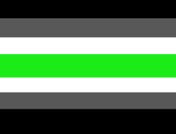 User Profile: SpinelCipher