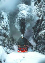 User Profile: PurposefulWanderer5975