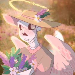 User Profile: koshkascornerarts
