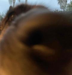 User Profile: abbyleeinthehouse