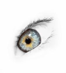 User Profile: Geminmyeyesnz