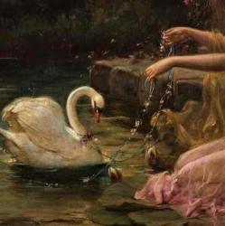User Profile: SwanOfAges