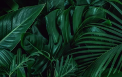 User Profile: hannii888