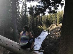 User Profile: ForestsMoments936
