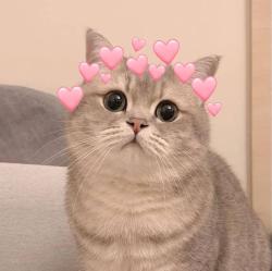 User Profile: SunnyCat0