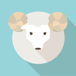 User Profile: harutanaka