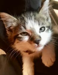 User Profile: Munkeh