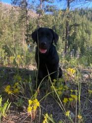 User Profile: sunshine0814