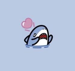 User Profile: SadNarwhal