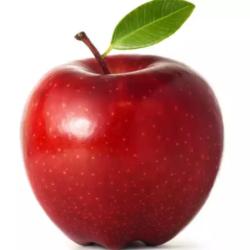 User Profile: tidyApple790