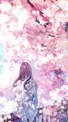User Profile: Suzune67