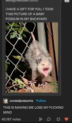 User Profile: Z0mbieguts