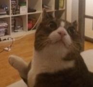 User Profile: sirKeats