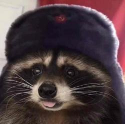 User Profile: Ivanthe5th