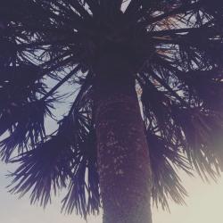 User Profile: helloKitten8774