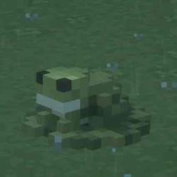 User Profile: deluxeplant