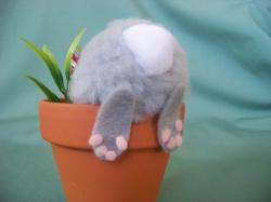 creativeBunny3015 profile picture