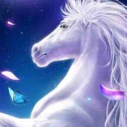 User Profile: Southwind2358
