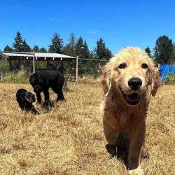 User Profile: Nursiemo