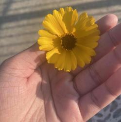 User Profile: Rae23