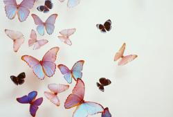 User Profile: hopefulsparkle