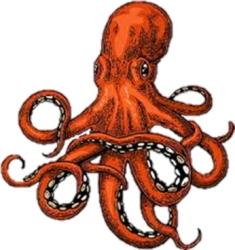 User Profile: KwirkyKraken