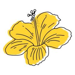User Profile: Chispired