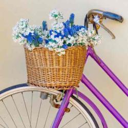User Profile: PromiseOfTomorrow