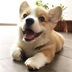 User Profile: HopefulStoic