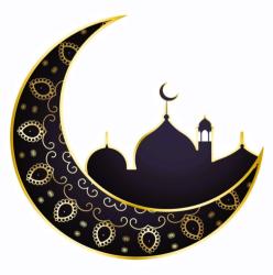 User Profile: Niqabi