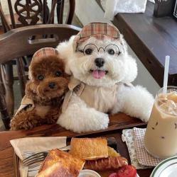 User Profile: sunnyKiwi1066