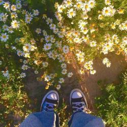 User Profile: DEEDEE2315x